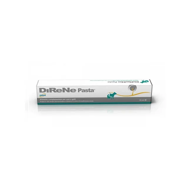 DIRENE PASTA - 15 ML