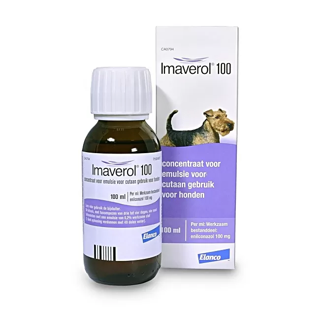 Imaverol for dogs best sale