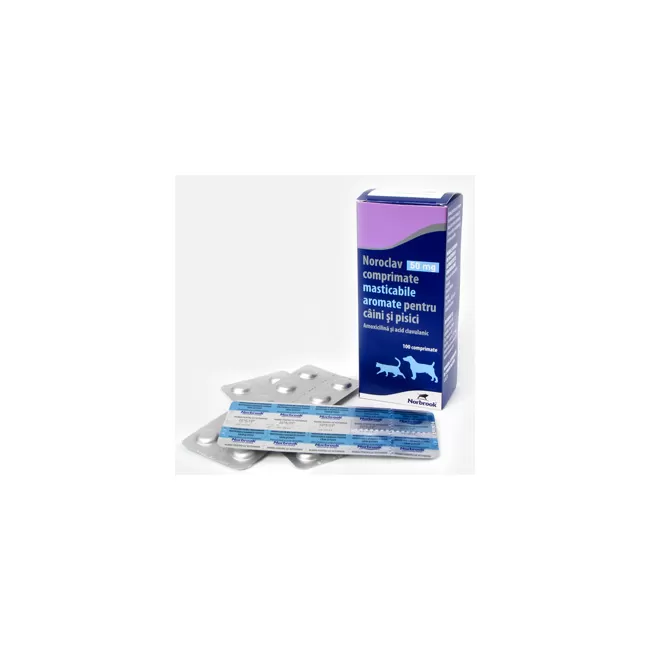 NOROCLAV 50 MG - 10 TABLETE MASTICABILE