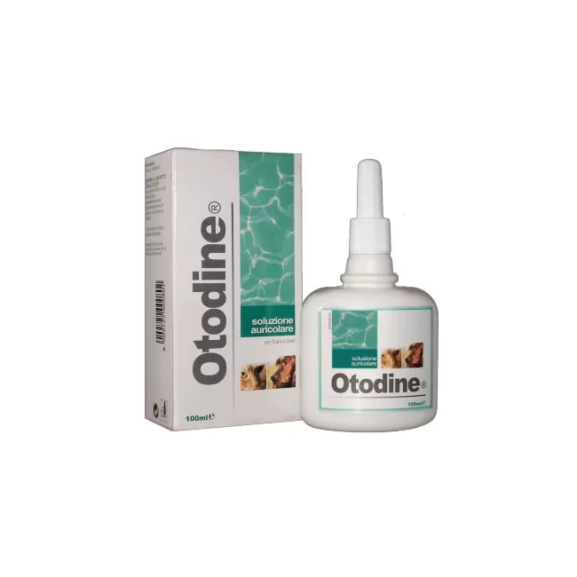 OTODINE - 100 ML