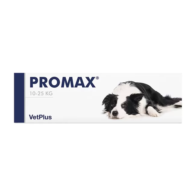 PROMAX CAINE TALIE MEDIE 10-25 KG