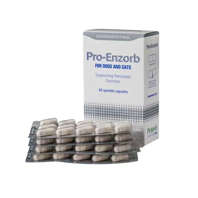 PROTEXIN PRO-ENZORB -  60 CAPSULE