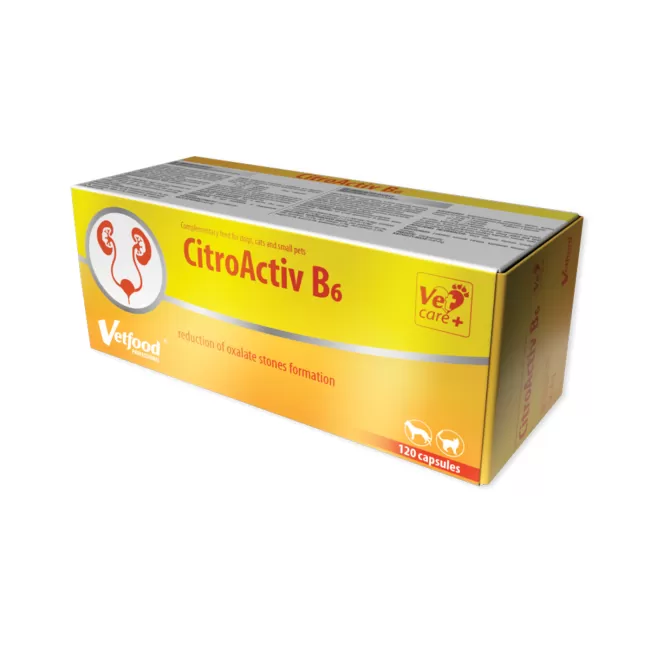 VetFood CitroActiv B6 (6 BLISTERE x 20 CAPSULE)