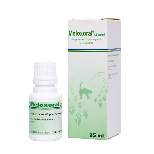 Meloxoral 25 ml - 0.5 mg/ml
