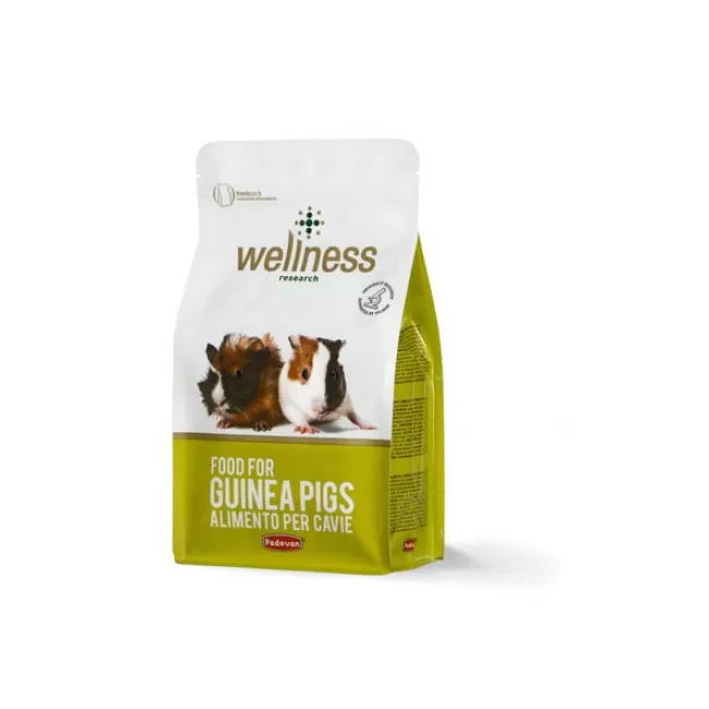 Wellness G-Pig - 1 kg