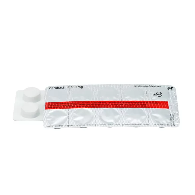 Cefabactin 500 mg 2x10 tab