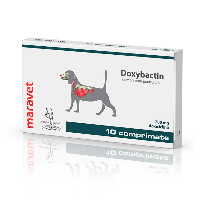 Doxybactin 200 mg - 10 tablete Caine