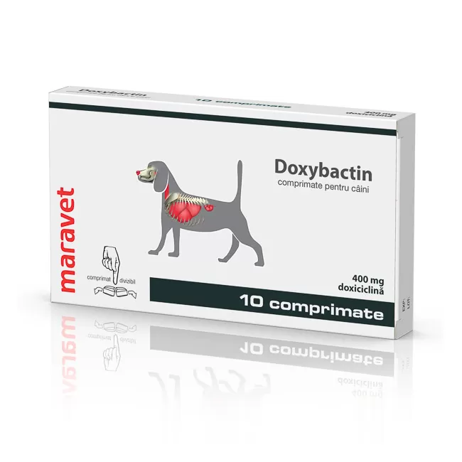 Doxybactin 400 mg - 10 tablete caine si pisica
