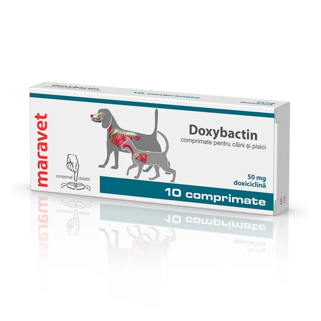 Doxybactin 50 mg - 10 tablete caine si pisica