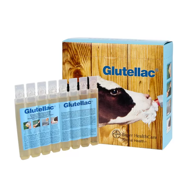 Glutellac 3x8 - 50 ml