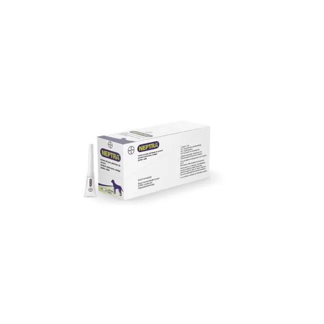 NEPTRA - PICATURI AURICULARE PENTRU CAINI 1 ML x 10 PIPETE