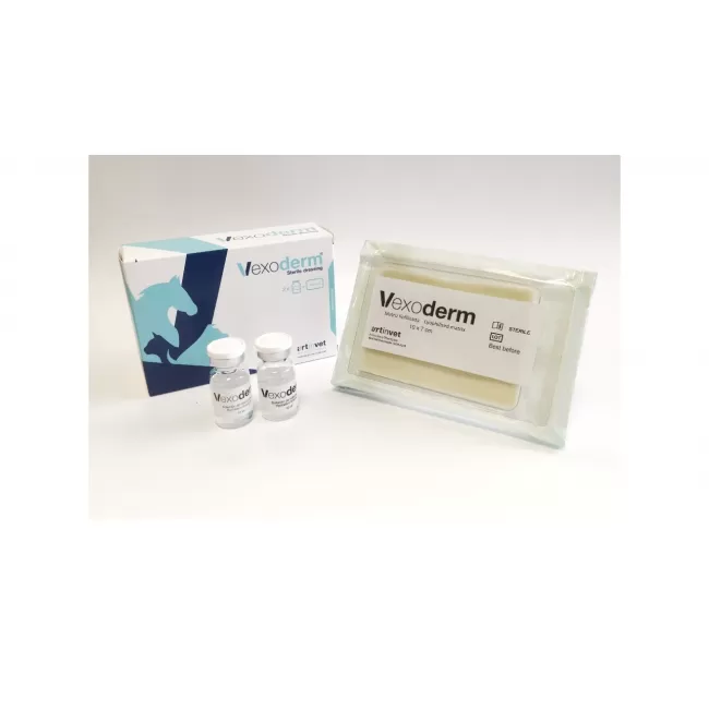 VEXODERM - PANSAMENT DE PLAGA 9 x 4 CM