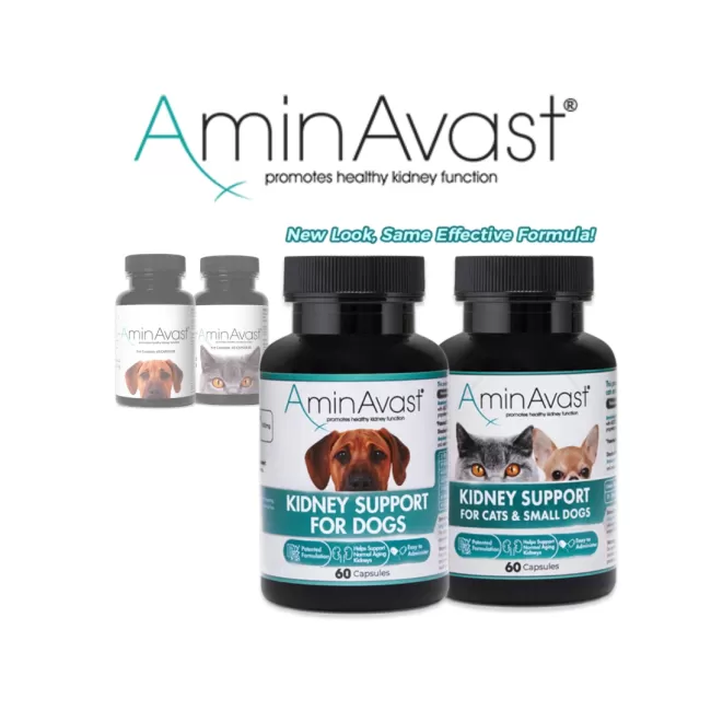 AminAvast Cat 300 mg - 60 Capsule